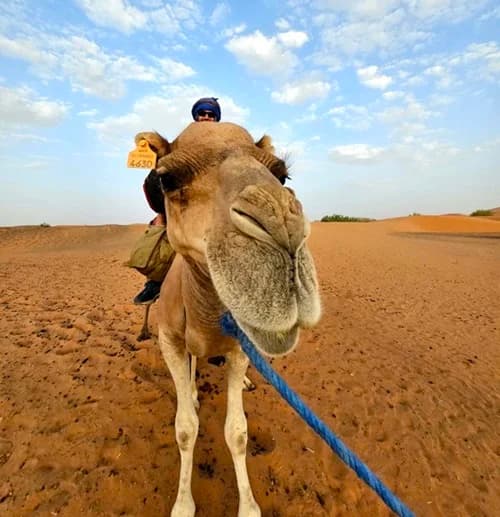 Welcome to Travel Bonds Morocco